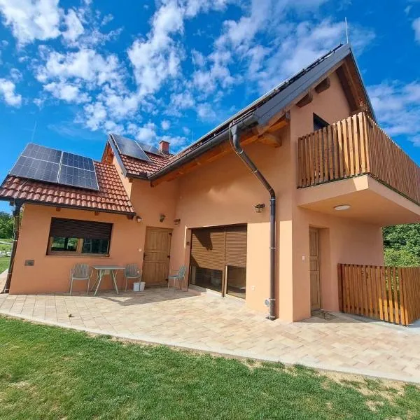 Ana&Borl House，位于Gradišča的酒店