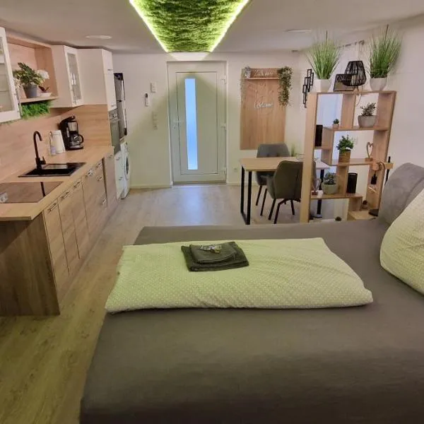 Appartment-Ferienwohnung mit Küche, Bad, WLAN, Klimaanlage, Modern eingerichtet，位于罗丁的酒店