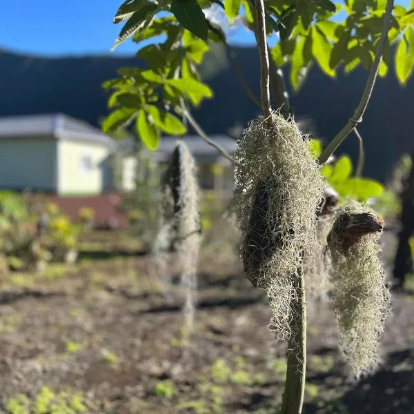 Porte de Grand Etang，位于圣贝努瓦的酒店