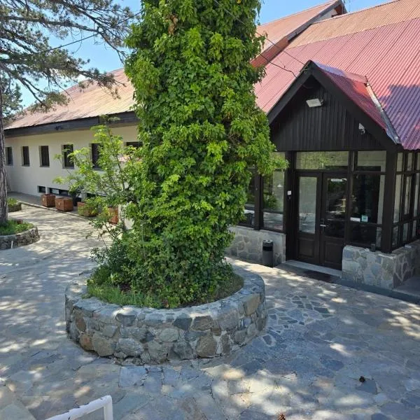 特鲁多斯居比利酒店，位于特罗多斯的酒店