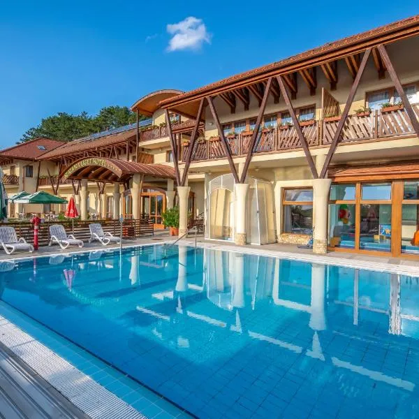 萨拉吉卡里格特酒店，位于锡尔沃斯瓦里德的酒店