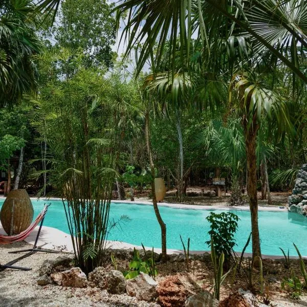 Jolie Jungle Eco Hotel,位于莫雷洛斯港的酒店