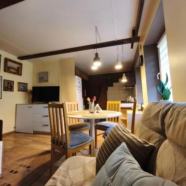 Cosy studio apartment with the garden，位于德鲁斯基宁凯的酒店