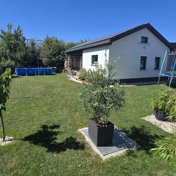 Haus Dresden, Pool, Garten, Terrasse, familienfreundlich，位于德累斯顿的酒店