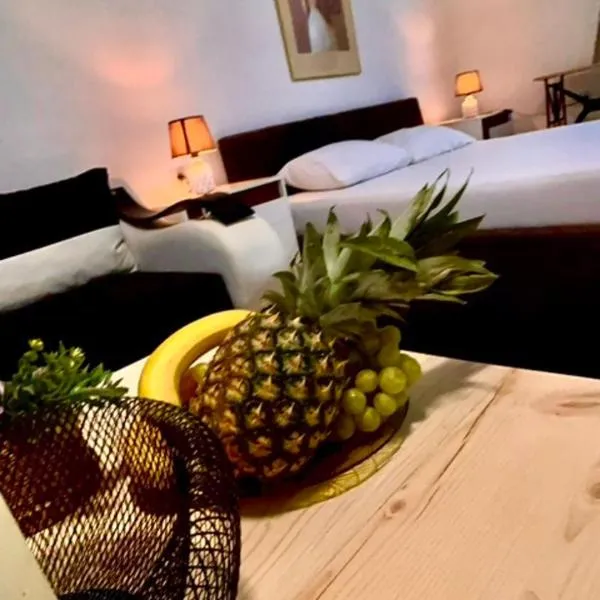 Villa Srna Apartments，位于Brazda的酒店