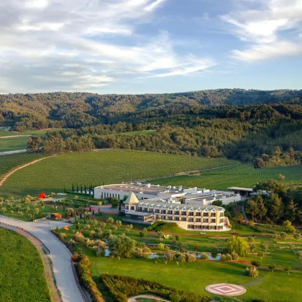 Hotel Caeli，位于埃杰阿巴德的酒店