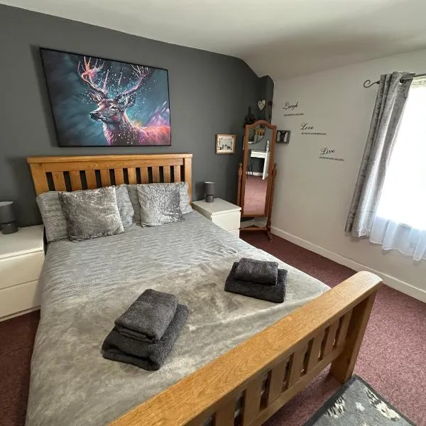Llanidloes Townhouse-pet-friendly-sleeps 7-Mid Wales，位于拉尼德洛伊斯的酒店