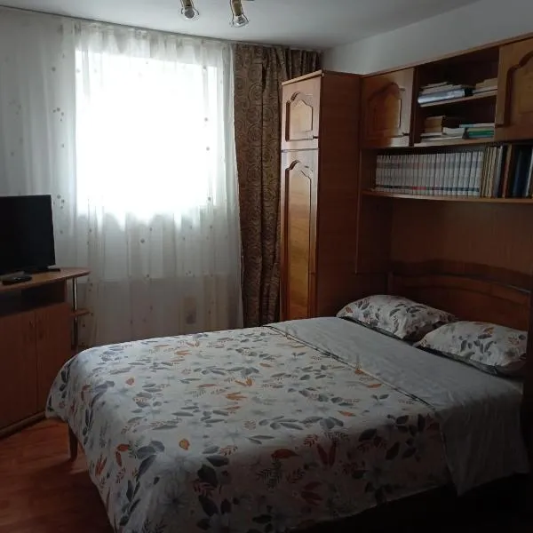 Casă ultracentral，位于弗格拉什的酒店