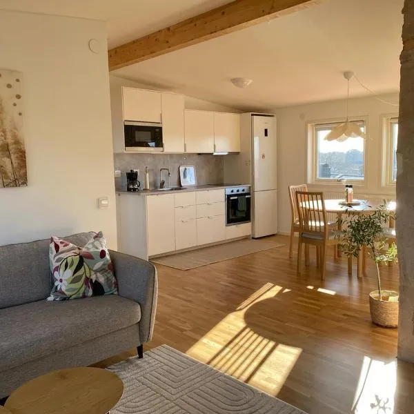 Lovely loft, centrally located，位于韦克舍的酒店