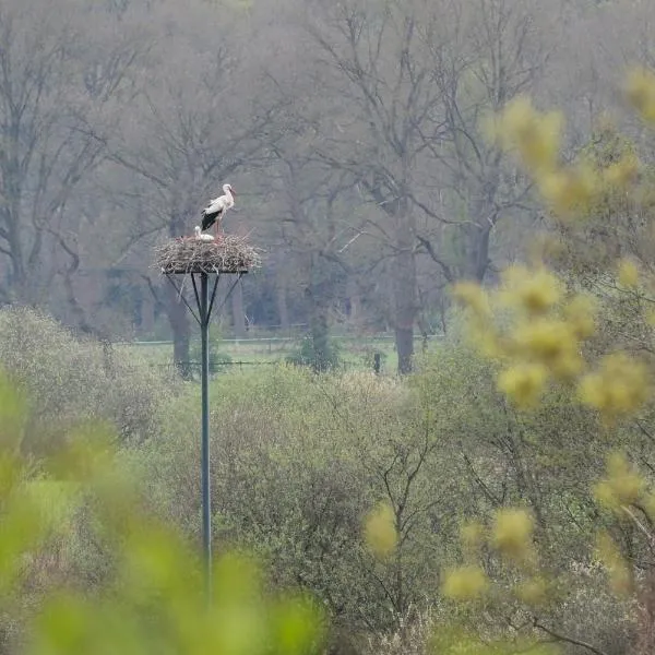 Villa Wolter，位于维尔德斯豪森的酒店
