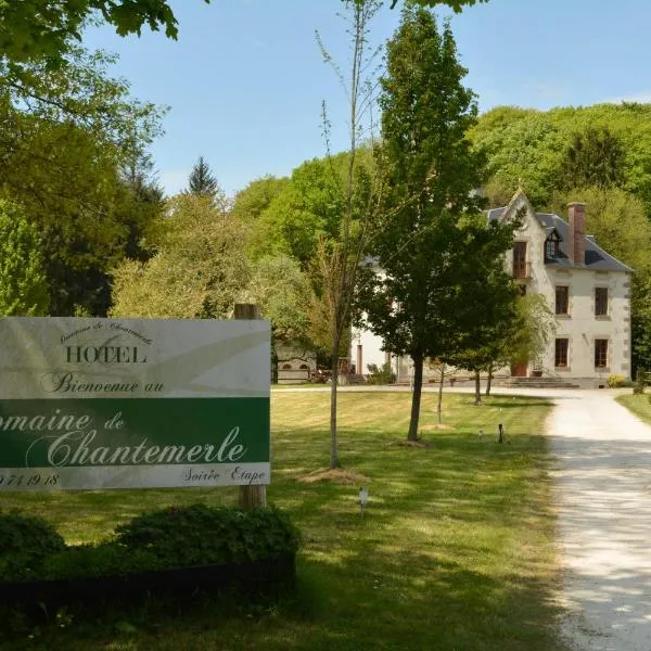 多美恩德山特梅勒酒店，位于Saint-Hilaire-de-Voust的酒店