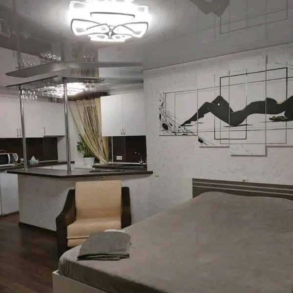 Lux apartment Central street，位于尼古拉耶夫的酒店