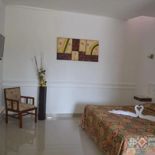 帕莱索酒店，位于特皮克的酒店