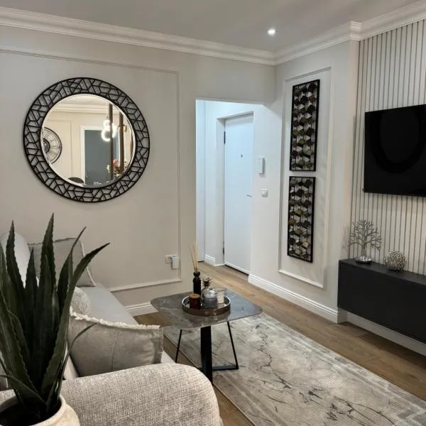 Silver Apartment，位于勒德乌齐的酒店