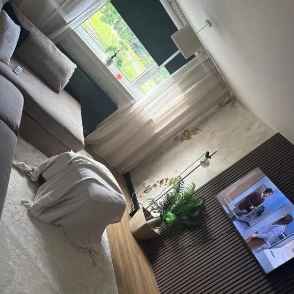 Modern 1 bedroom flat full flat，位于东基尔布赖德的酒店