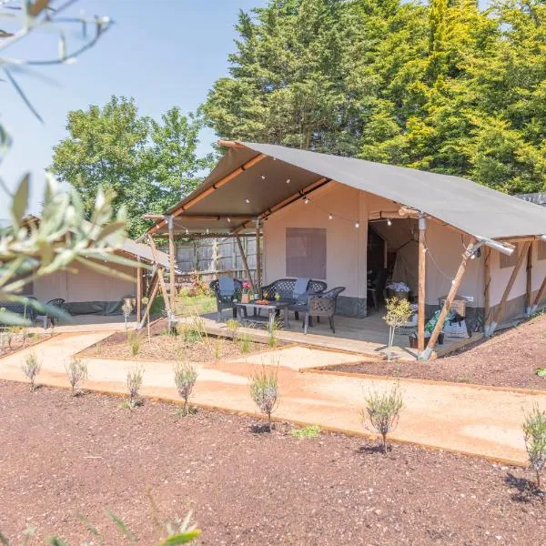 Luxury Glamping at Stags Head，位于Abbotskerswell的酒店