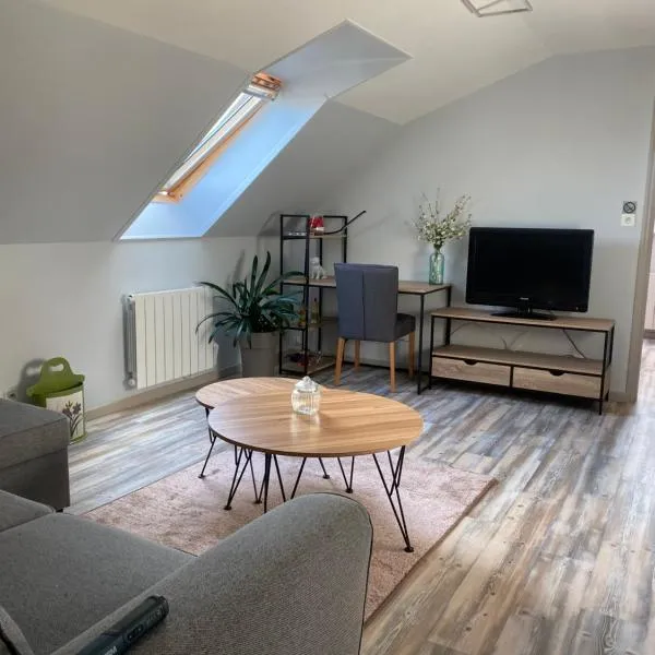 Appartement centre ville，位于于塞勒的酒店