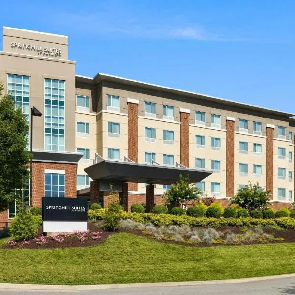 洛诺克万豪春季山丘套房酒店，位于罗阿诺的酒店