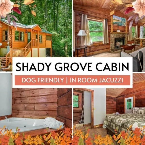 Pet-Friendly Cabin, In-Room Jacuzzi, King Bed, WiFi，位于赛维尔维尔的酒店