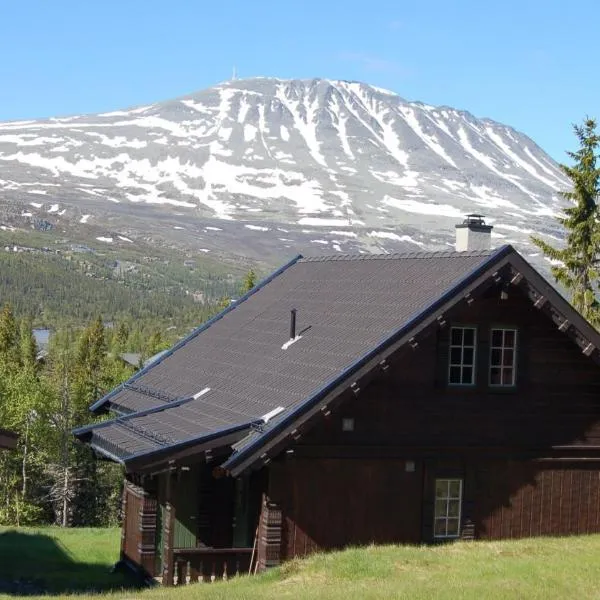 Kvitåvatn Fjellhytter，位于Gaustablikk的酒店
