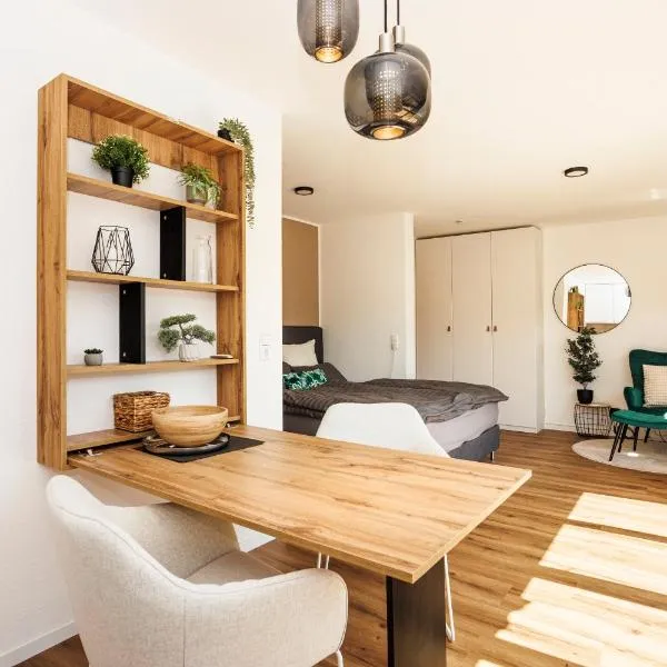 1-Zimmer Apartment in Lörrach，位于罗拉赫的酒店
