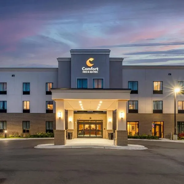 Comfort Inn & Suites，位于City in the Village of Clarkson的酒店