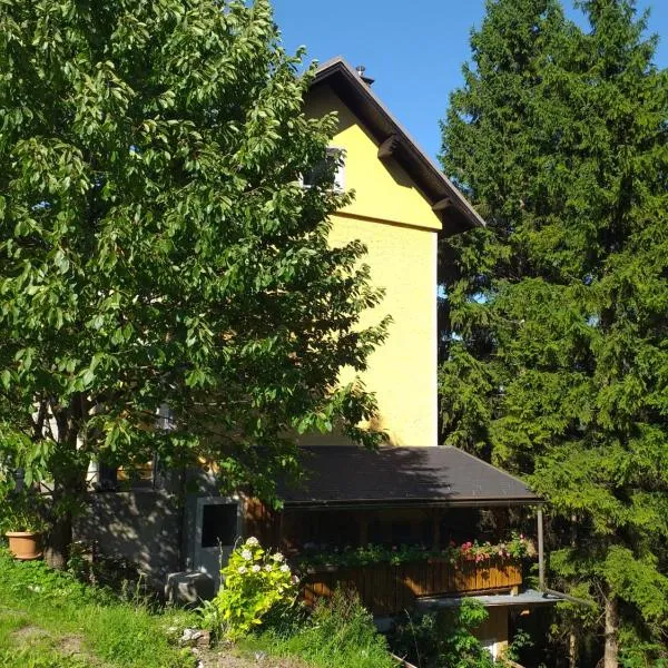 Ferienwohnung Rosenbach OG，位于罗森巴赫的酒店