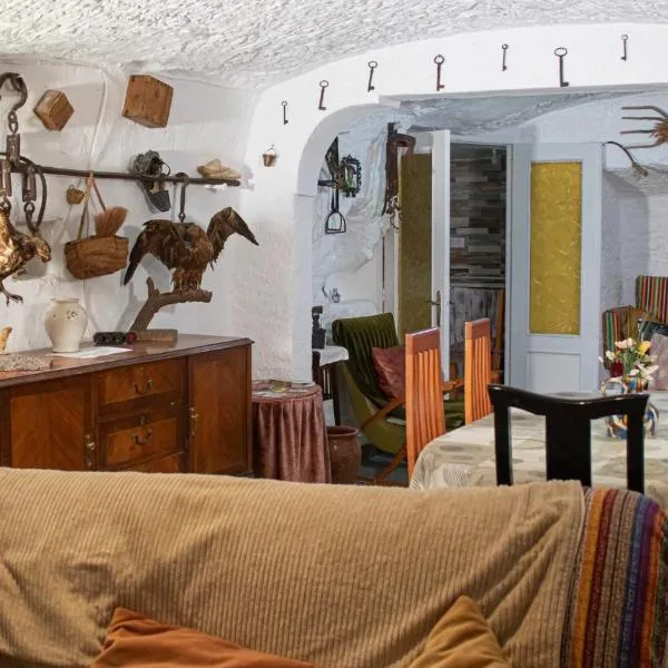 Cueva Navarro，位于Gorafe的酒店