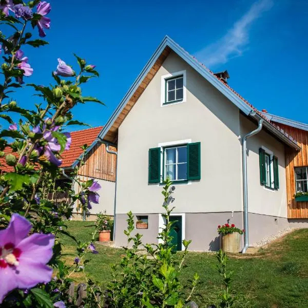 Ferienhaus am Brunnen，位于Eibiswald的酒店
