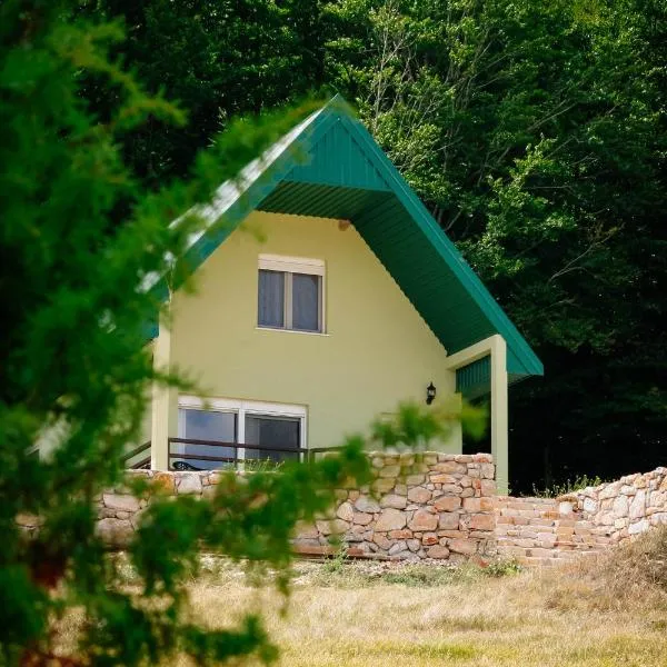 Forest Panorama Cabin Brezna，位于普卢日内的酒店