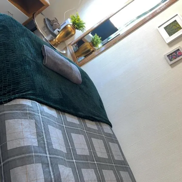 QueensBerry Hotel，位于安南的酒店