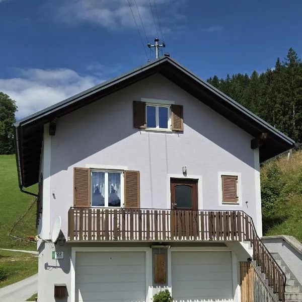 Ferienhaus Ofenluger in idylischer Lage inkl Garage，位于菲施巴赫的酒店