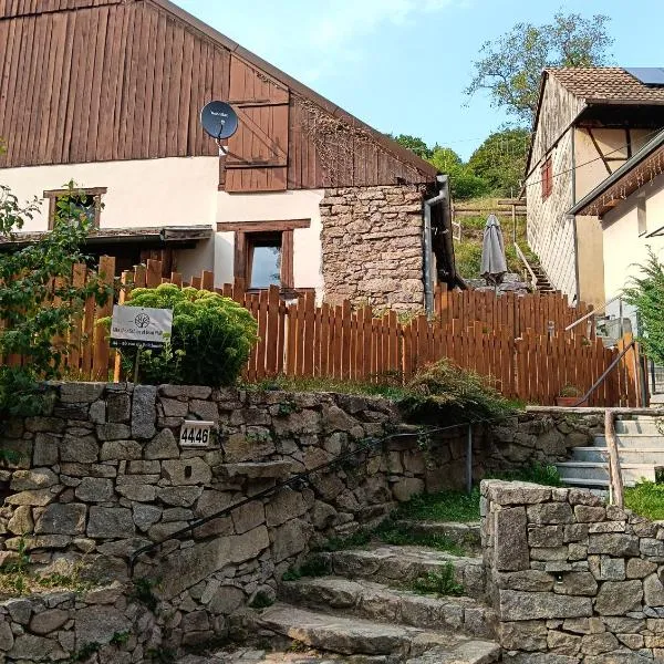Studio à Murbach au calme，位于穆尔巴赫的酒店