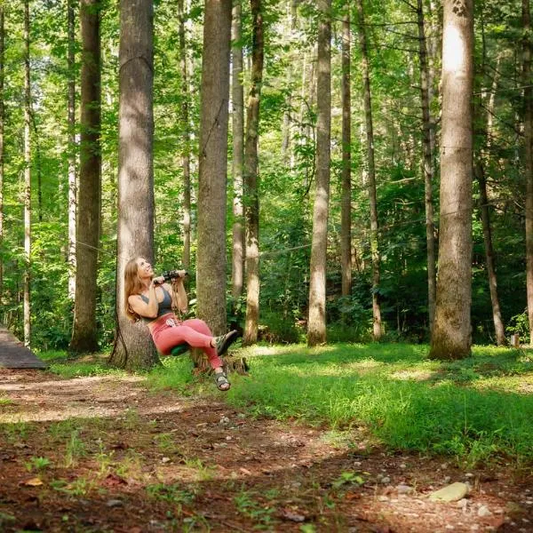 Summer Breeze cabin at Cabin Fever in NC，位于Saluda的酒店