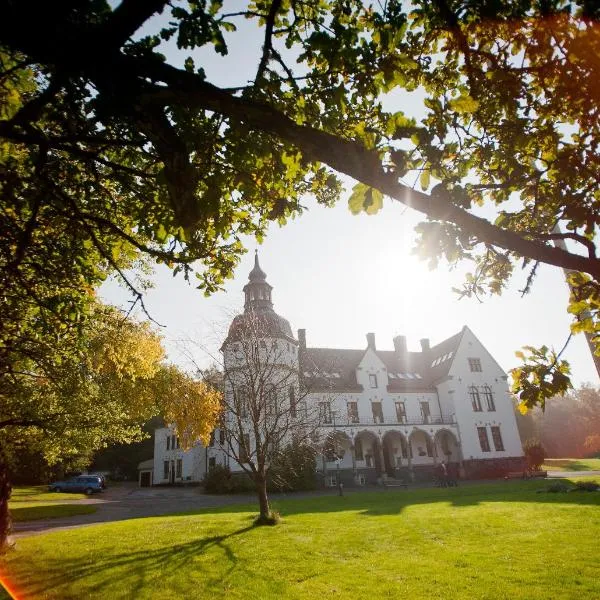 Hellidens Slott och Vandrarhem，位于Älvstorp的酒店