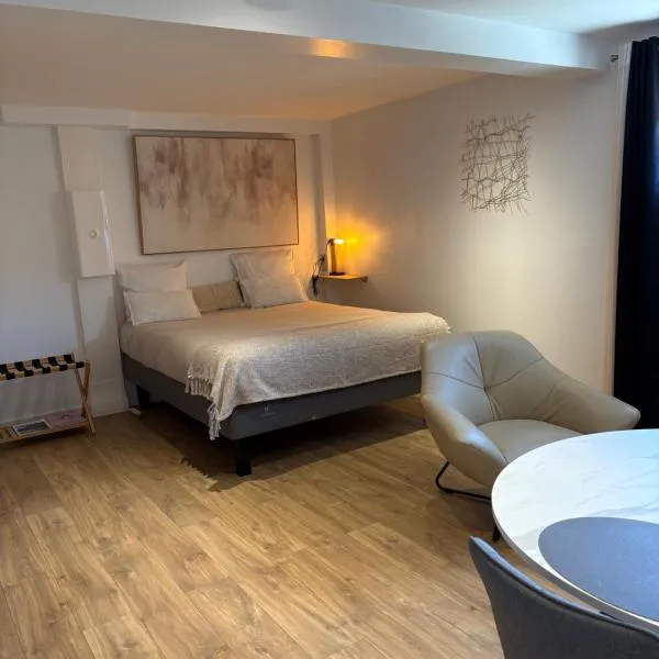 Studio équipé Le Chasseland，位于沙西约的酒店