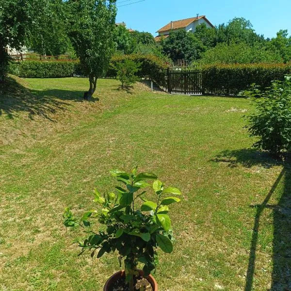 LA TANA DELLA VOLPETTA - Bed & Breakfast，位于Stella的酒店