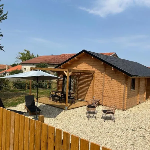 Chalet Champ'&Bois，位于Blumeray的酒店