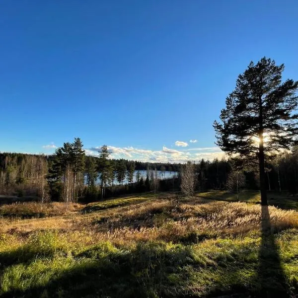 Glamping tent in a forest, lake view，位于Bjuråker的酒店