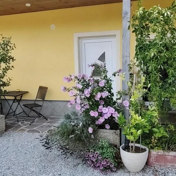 Mini wellness studio-near the airport，位于斯姆勒尼科的酒店