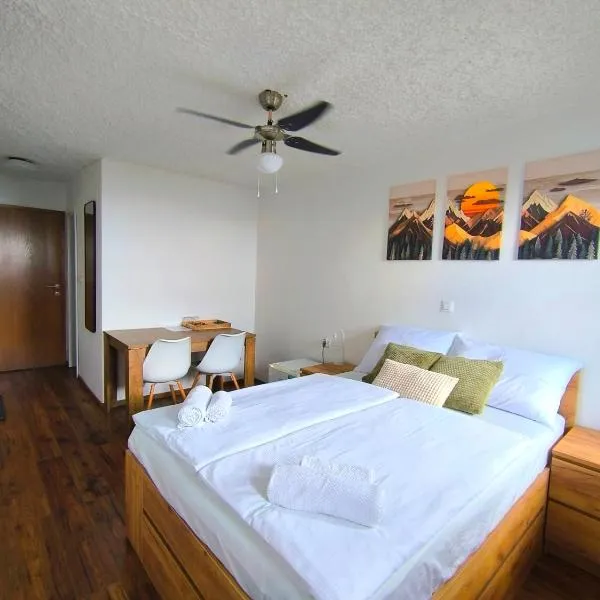 PAVLIN Bed & Breakfast，位于Šenturska Gora的酒店