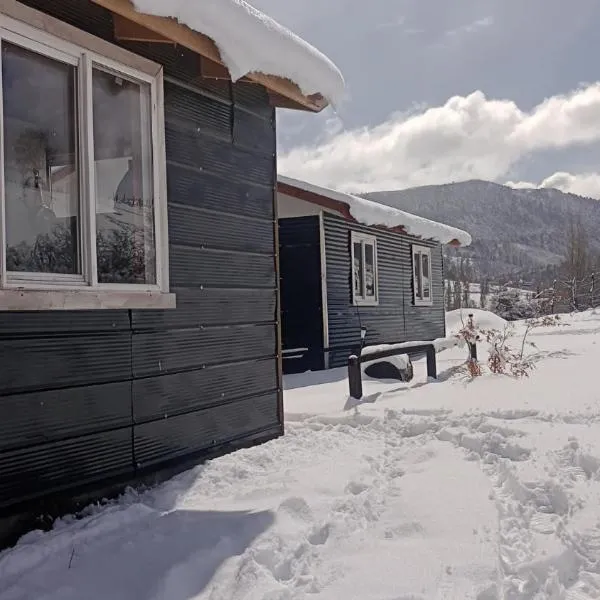 Cabañas Aliwen Lonquimay，位于隆基迈的酒店