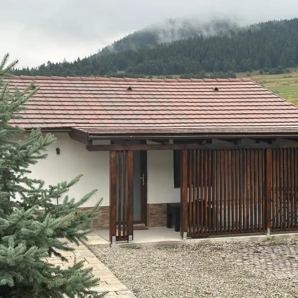 Aqua Garden Junior Miercurea Ciuc，位于密古雷休治的酒店