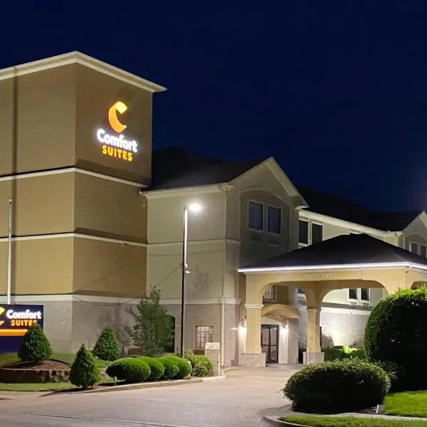 Comfort Suites Tyler South，位于泰勒的酒店