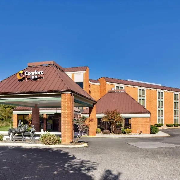 Comfort Inn Lexington Virginia Horse Center，位于列克星敦的酒店