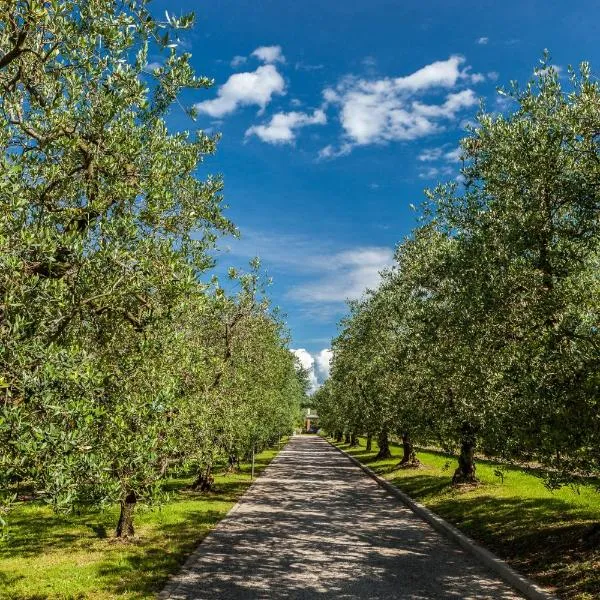 橡木贝尔维蒂利里莱丝酒店，位于巴多利诺的酒店