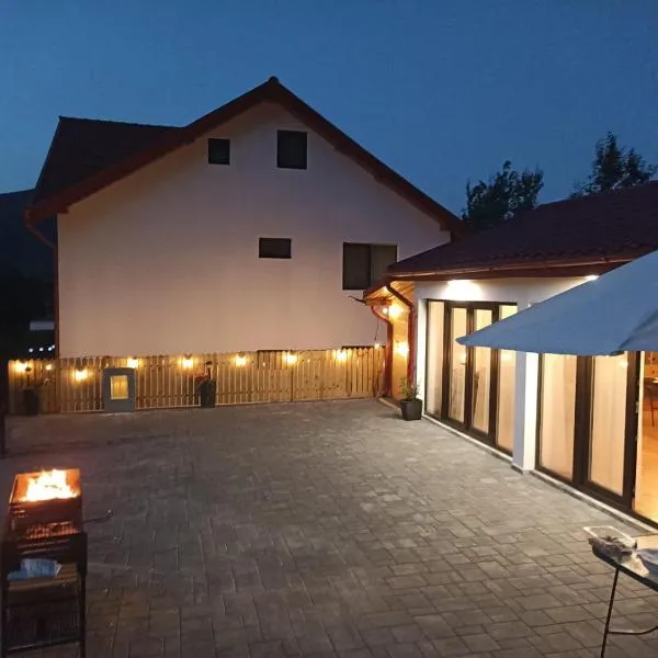 Pensiunea Liniștea Pădurii，位于Valea Lupului的酒店