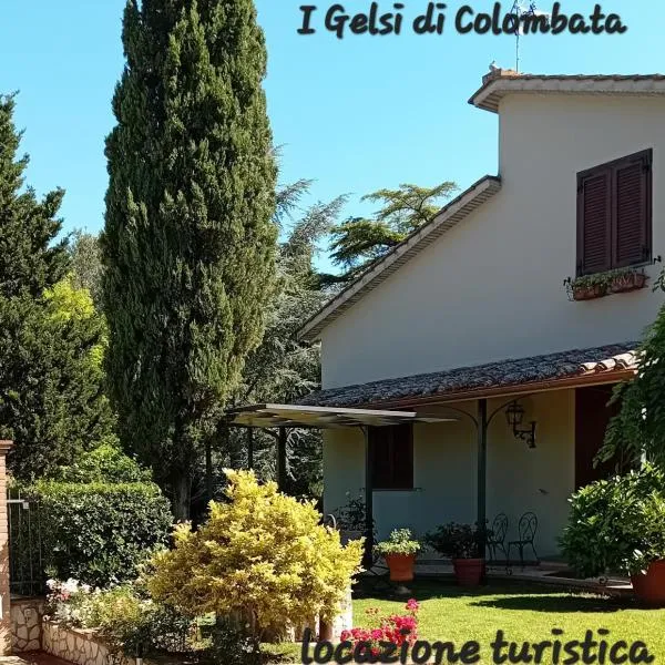 I Gelsi di Colombata Locazione turistica breve in campagna，位于纳尔尼的酒店