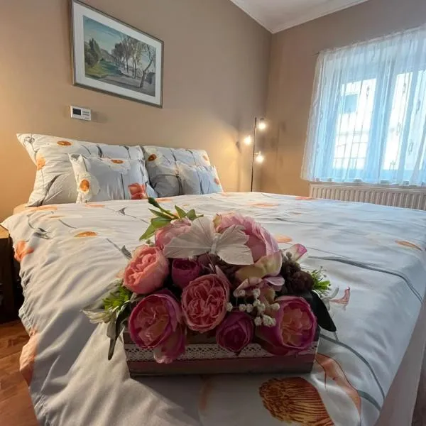 Tessa Central House，位于克塞洛的酒店