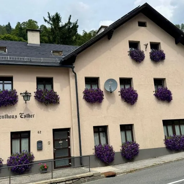 Apartmenthaus Esther，位于Ramingstein的酒店